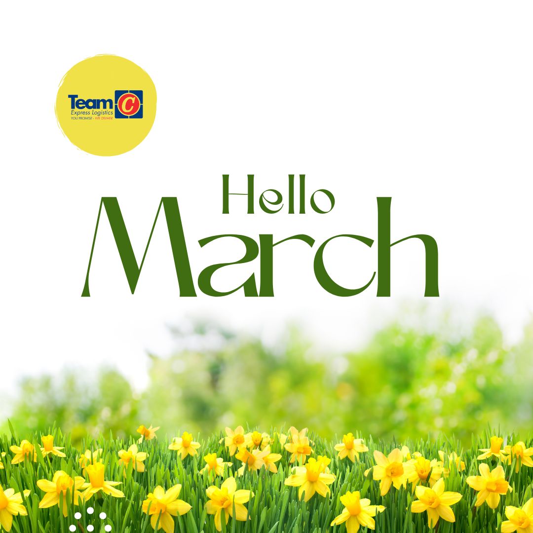 Team C Express Log tweet media