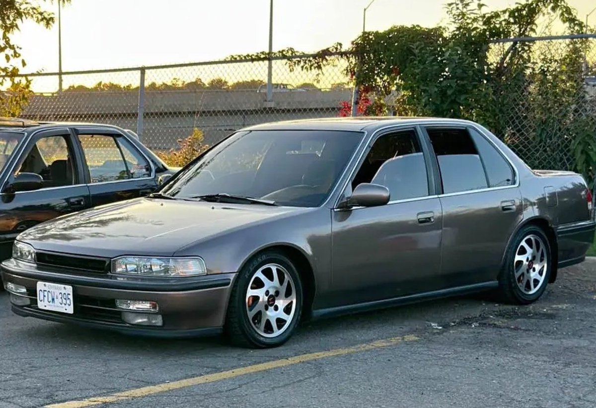 Millishield 01 🚘🌽🫑🌶🦈🐔 tweet media