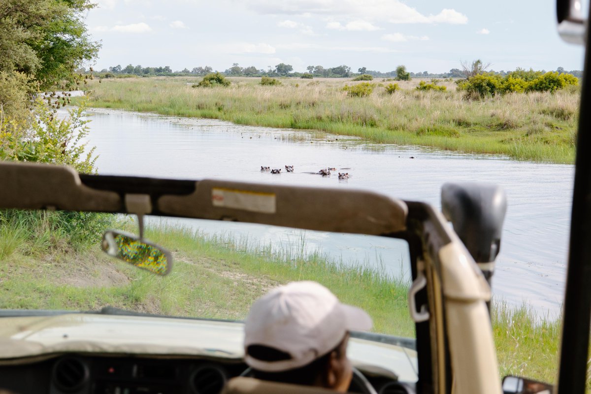 N/a'an ku sê Group of Companies tweet media