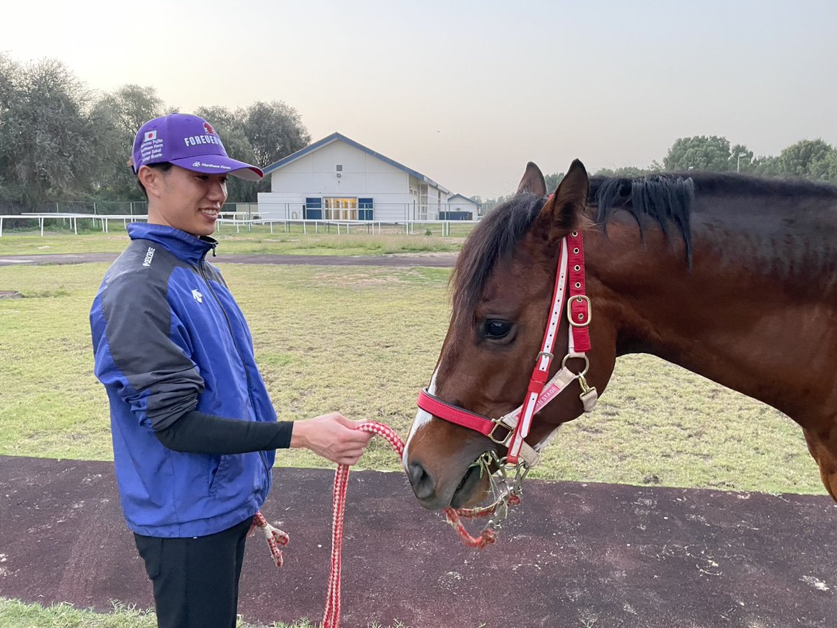 皆さんにご心配をお掛けしています🥹
フォーエバーヤングとアメリカンステージは本馬場並走で軽いキャンター、いつも通りの調教をこなしています🐴🐴✨️
昨夜は爆発音も迎撃音も無く、スタッフもゆっくり休めたようです🙌
#フォーエバーヤング
#ForeverYoung
#AmericanStage
#DubaiWorldCup2026