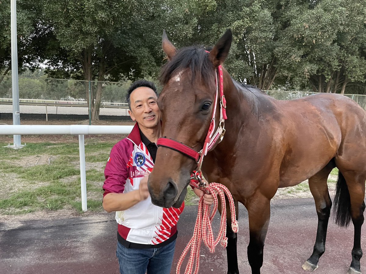 SOHO (@SOHO1103) / Posts / X