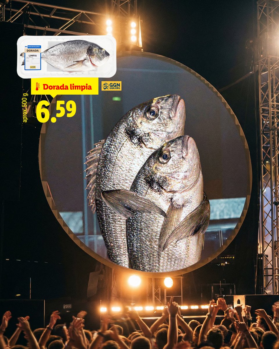 lidlespana's tweet photo. La Fish Cam https://t.co/vmP10wCKW9