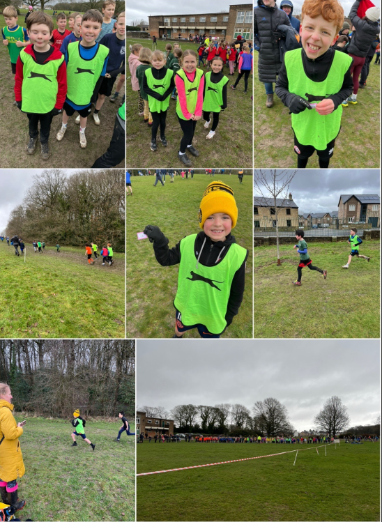 Ballifield Primary School tweet media