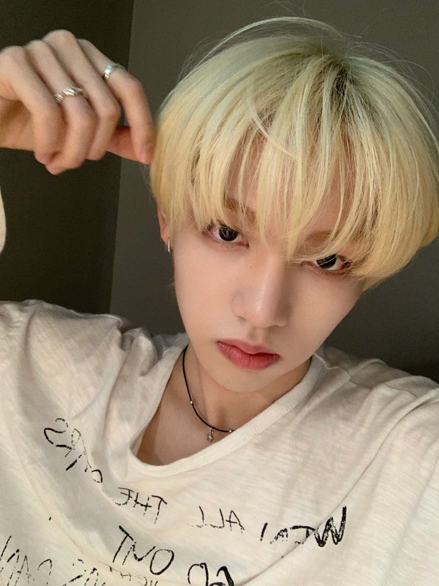 빵저이 tweet media