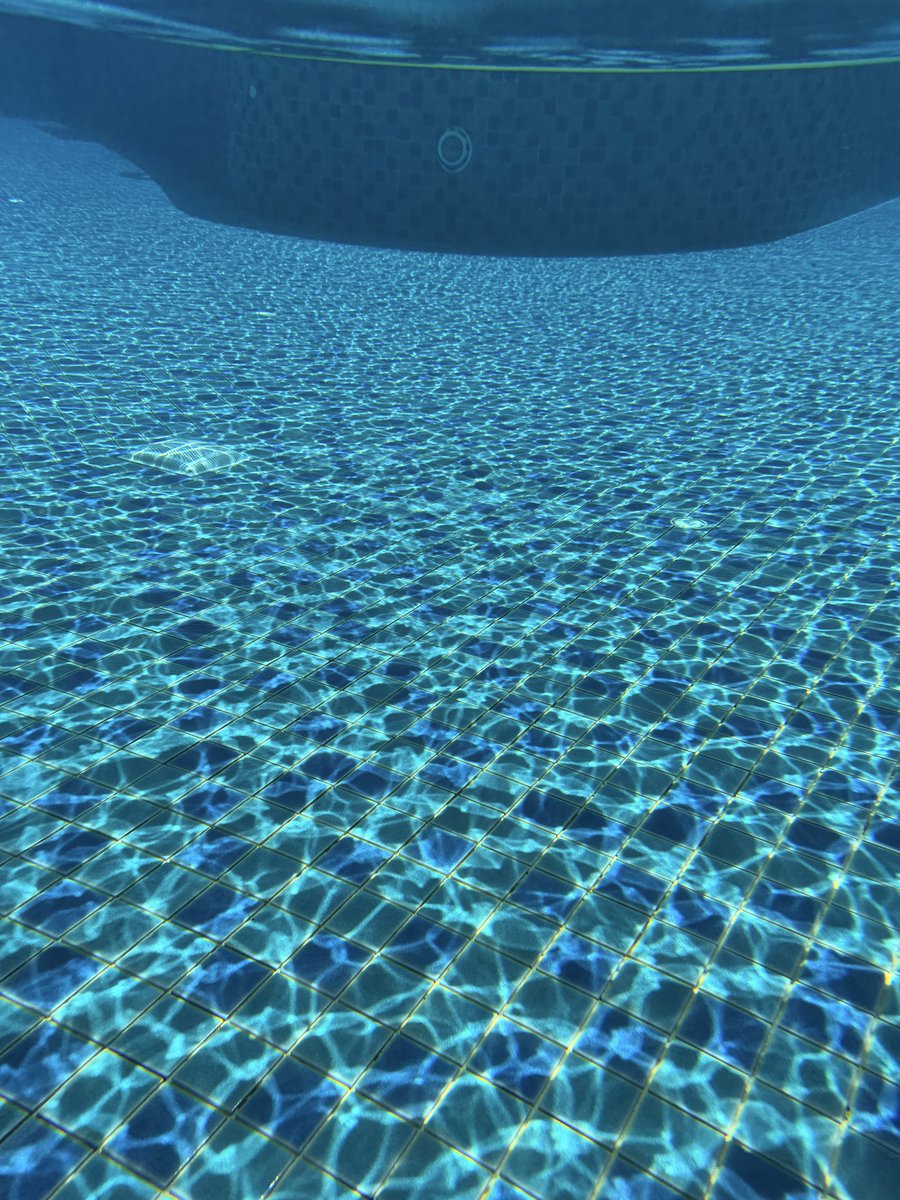 028夫妻可可🫧 tweet media