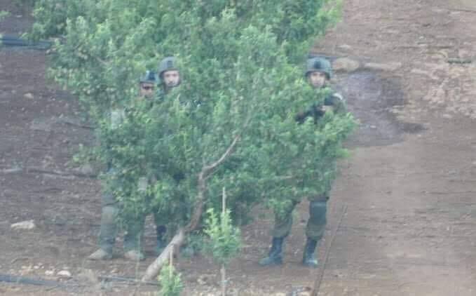 Gargat ağacının arkasına saklanan 3 siyonist…