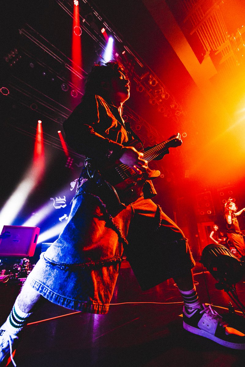 Petit Brabancon tweet media