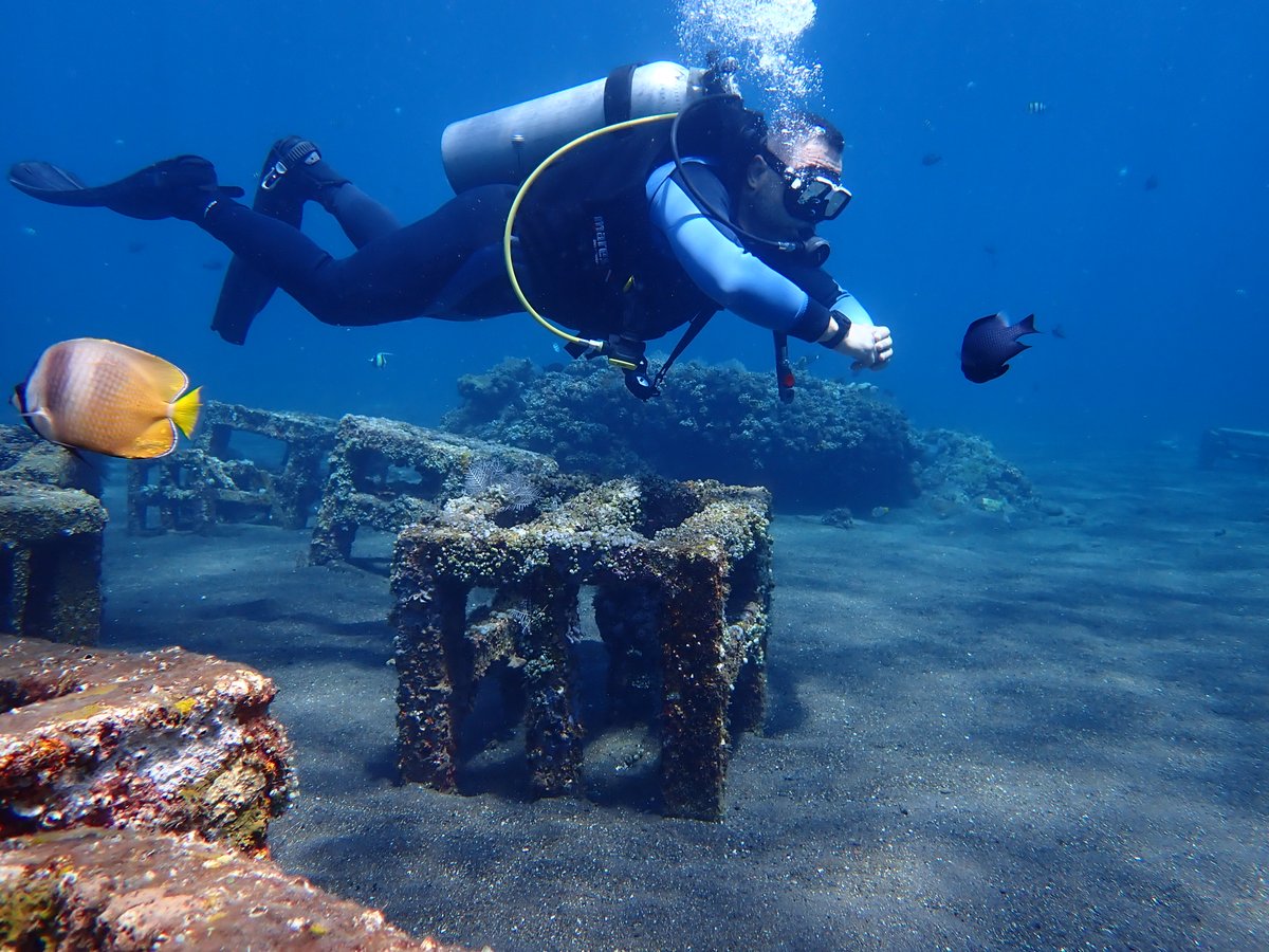 enadive's tweet photo. Come having fun with us, book to https://t.co/HnQv5WaDgS #divers #divetrip #scubadiver #deepdive #PADIdivers https://t.co/2XE68xj4VQ