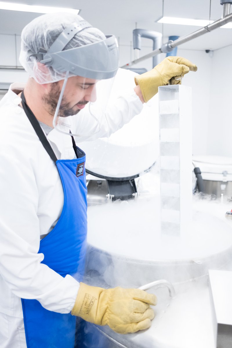 Cada muestra que conservamos, es una  familia, una historia, un  compromiso que nos mueve cada día a trabajar con el máximo rigor,  empatía y dedicación.
ℹ️bio-cord.es

#celulasmadre 
#embarazo