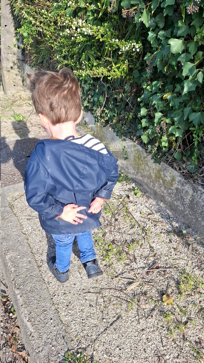 🍂☕️~𝐑𝐄𝐌𝐘~📚✍️ tweet media