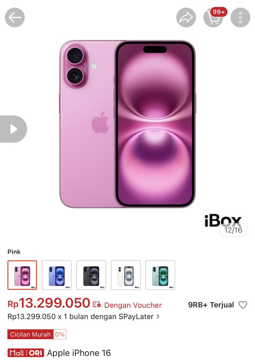 acelots_𐙚 tweet media