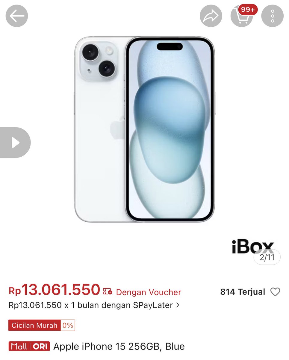 acelots_𐙚 tweet media