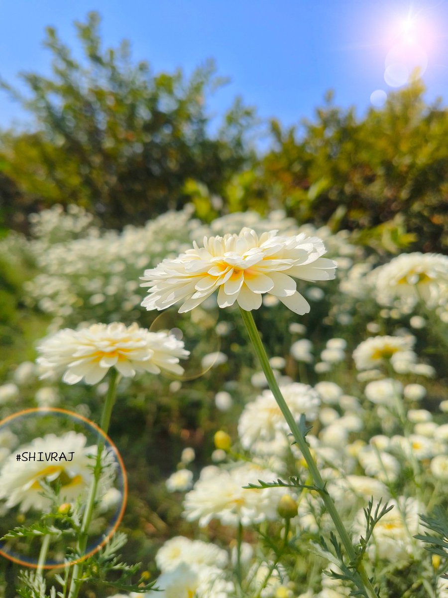 Good Afternoon Legends