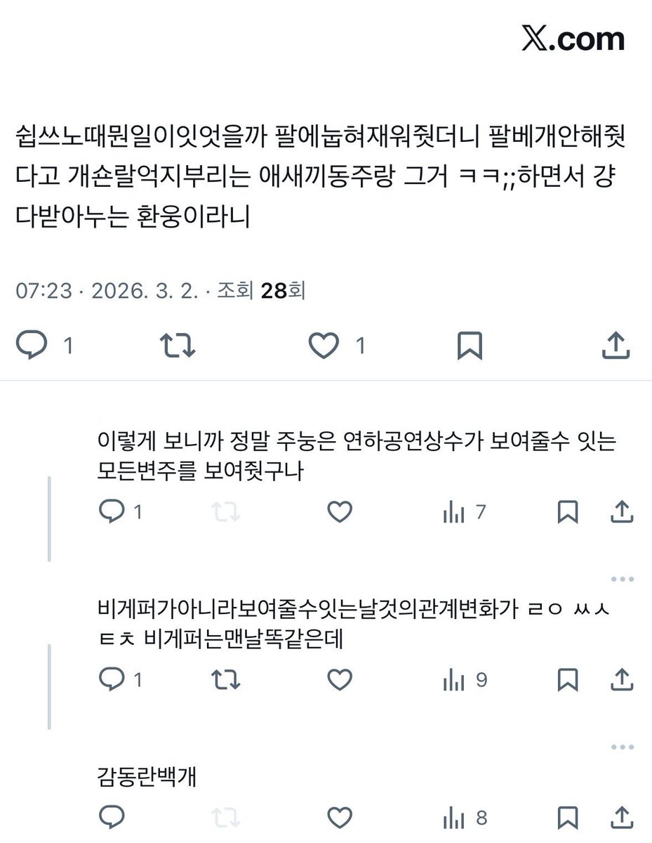 모루 tweet media