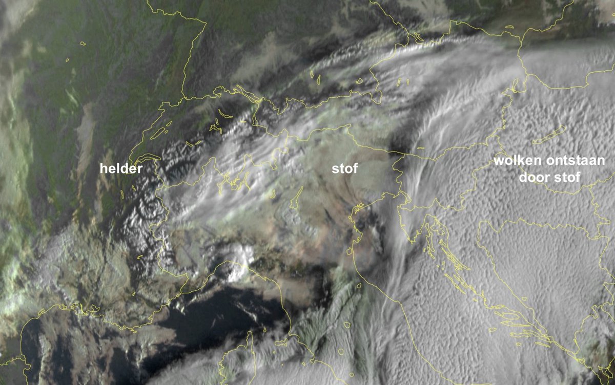 Roel van den Bekerom tweet media