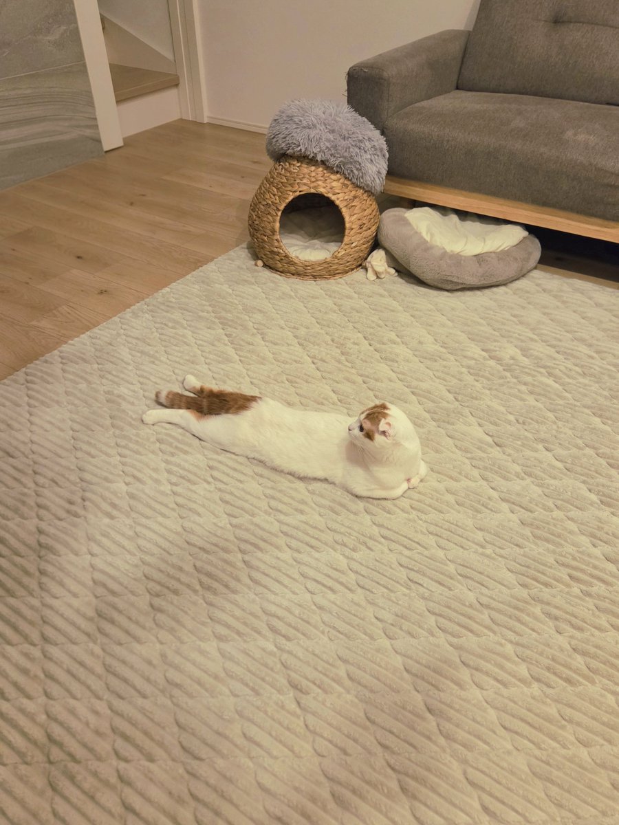 前から見ても後ろから見ても難解な体勢