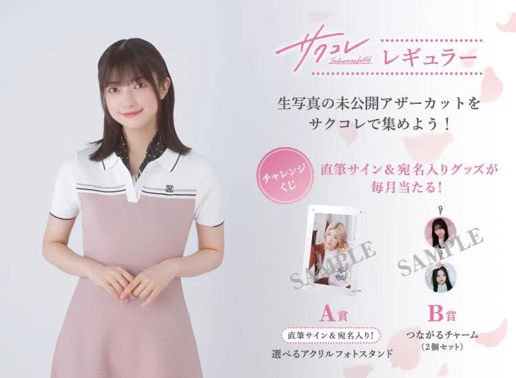櫻坂46 on X: 