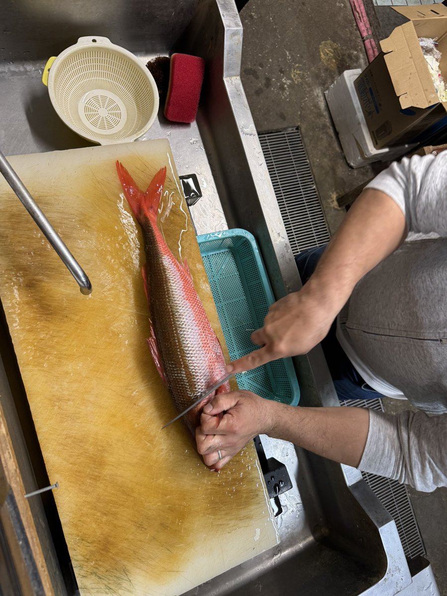 えびこ (@NALUSanglers) / Posts / X