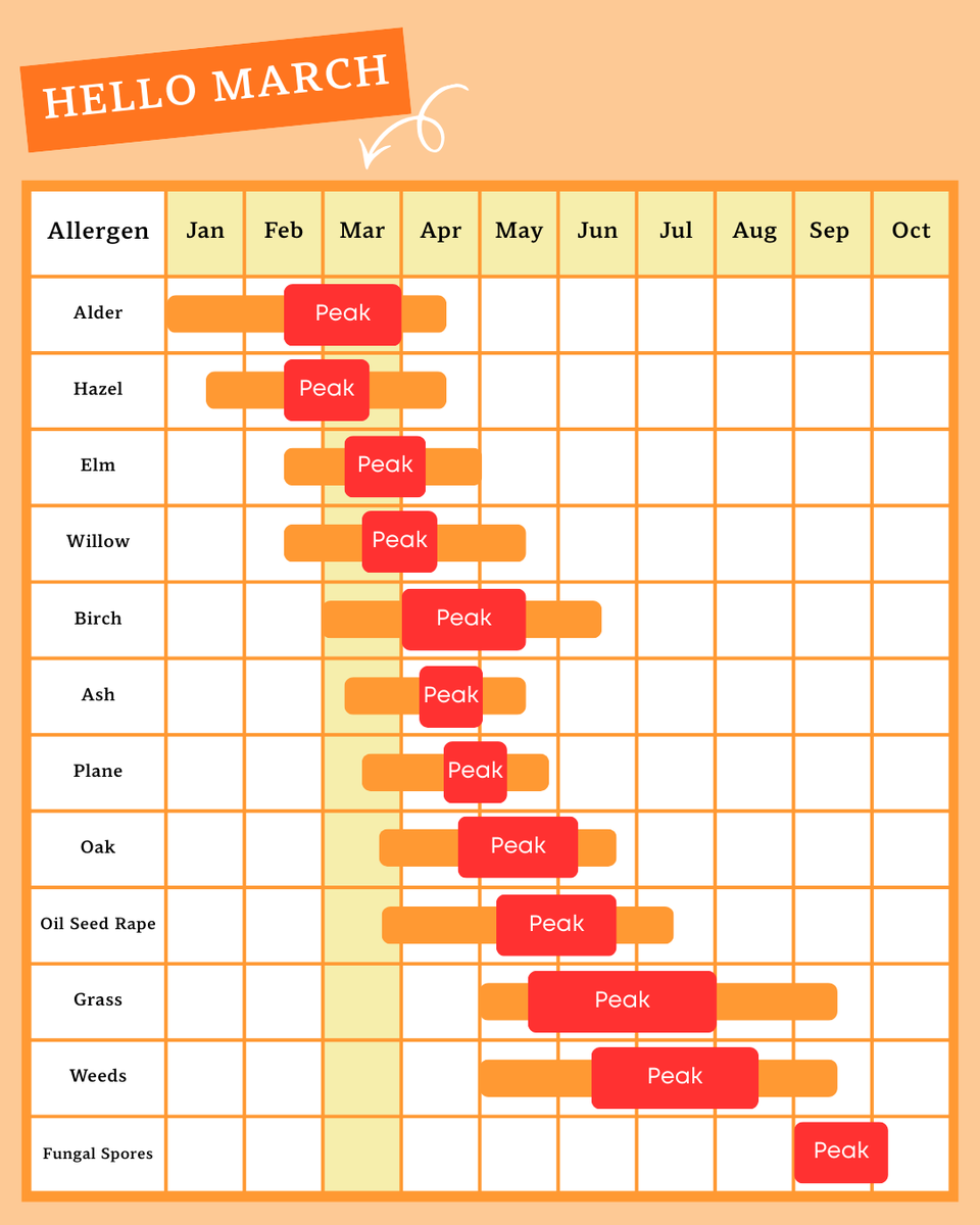 HayFever?HayMax tweet media