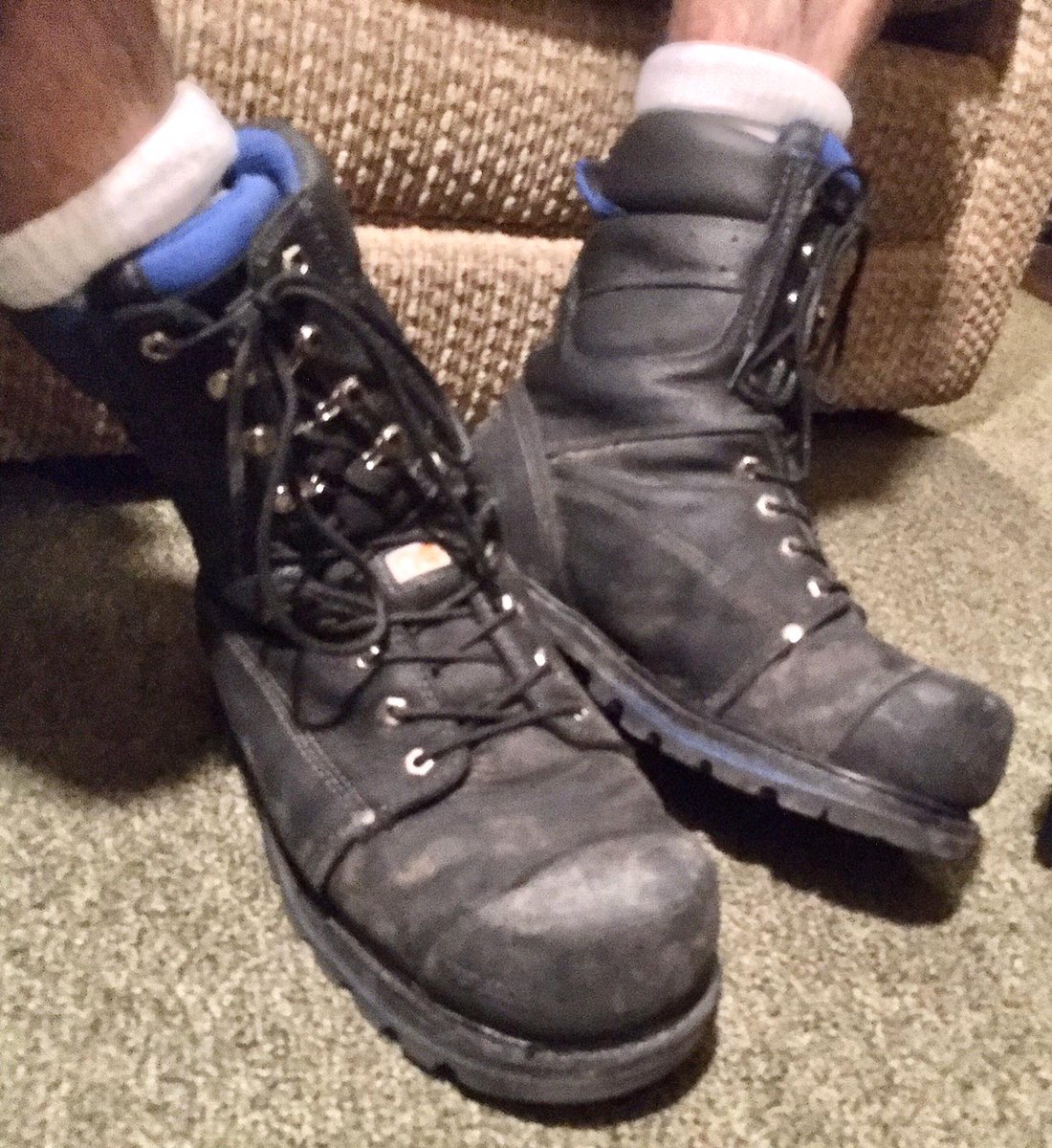 🇫🇷 Alpha Sneaker Sub (base) = ASS tweet media