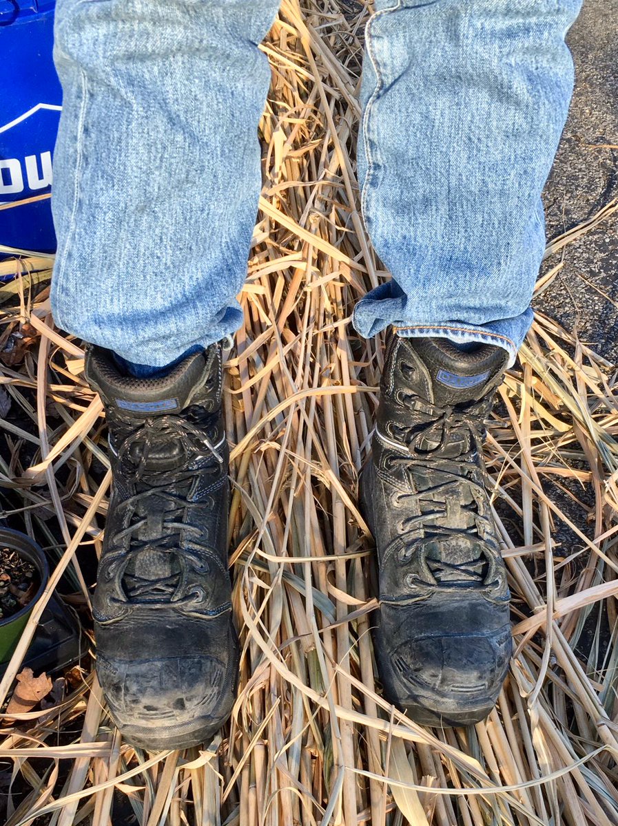 🇫🇷 Alpha Sneaker Sub (base) = ASS tweet media