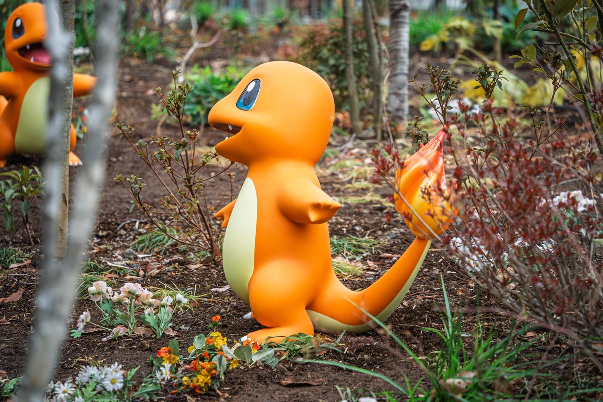 ファイヤーレッド・リーフグリーン #ポケモン #ポケパークカントー