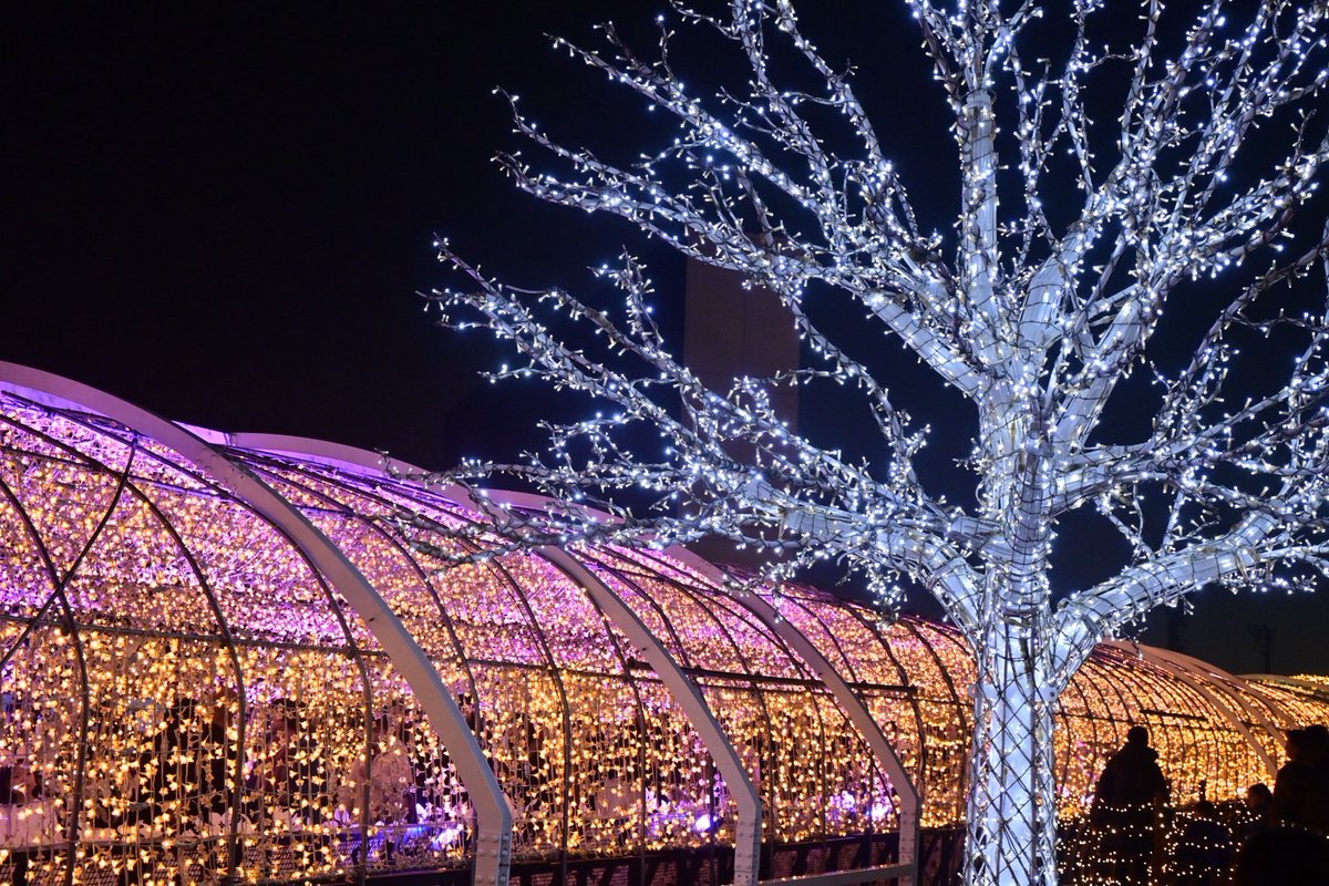 SaidaiPhoto's tweet photo. 【活動報告】 12/20にイルミネーション撮影会を行ないました。   大井競馬場で行われた東京メガイルミへ行って来ました！  当日の様子をたくさん載せているので、HPも是非ご覧ください！

https://t.co/sSNnlSjbSr

#埼玉大学 #埼玉大学写真部 #東京メガイルミ https://t.co/p0xuGYzbd4