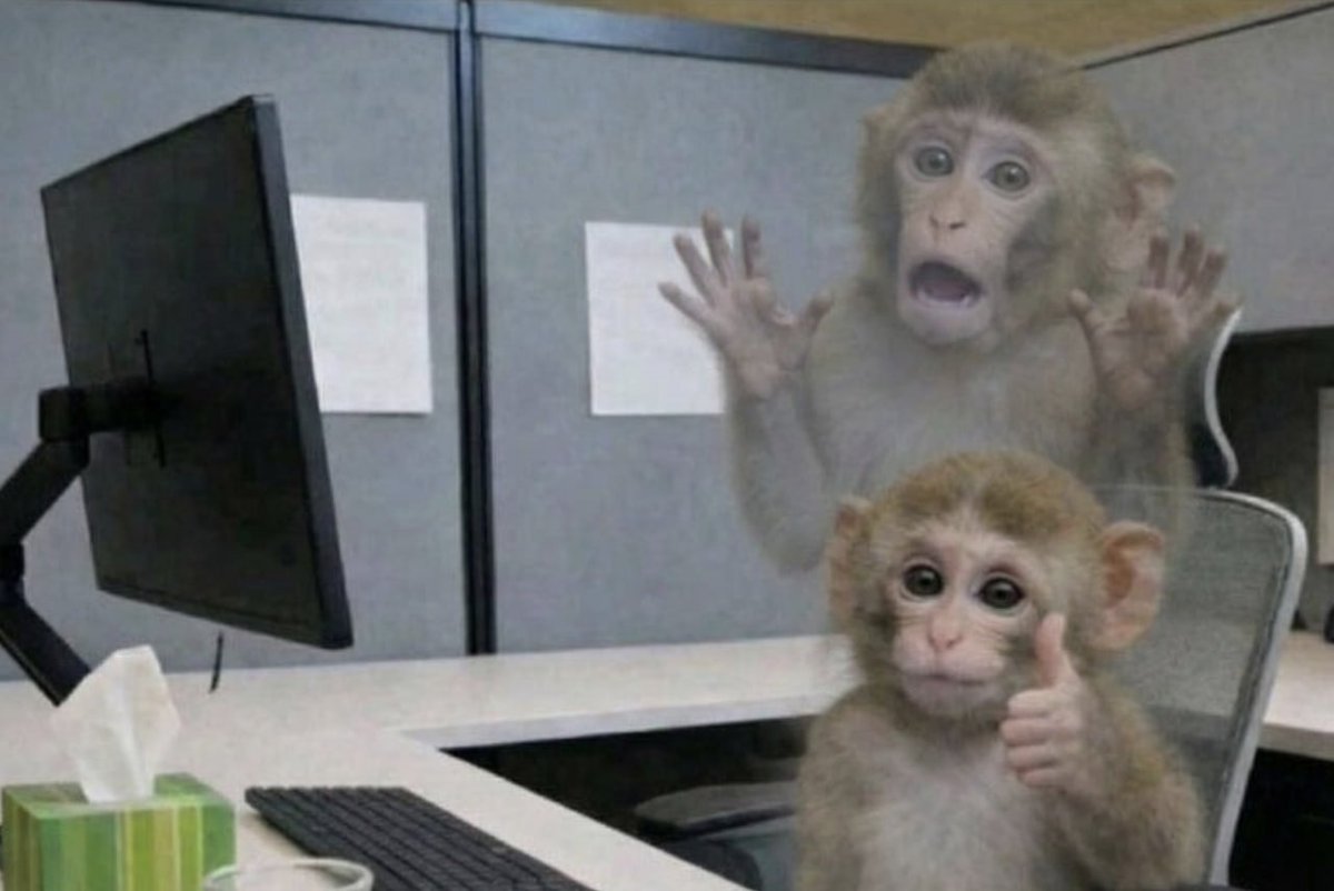 Типичный программист tweet media