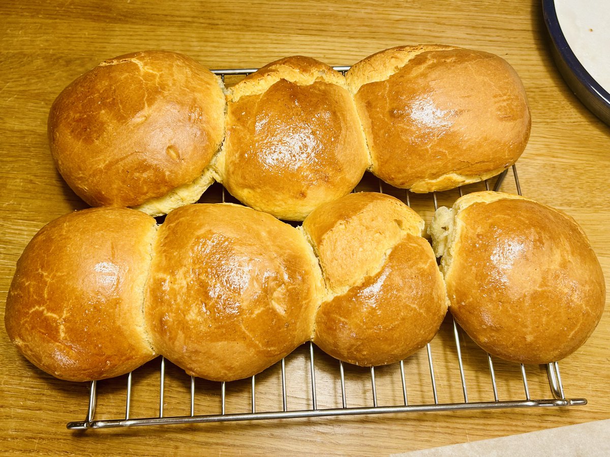 Kenan Habul tweet media