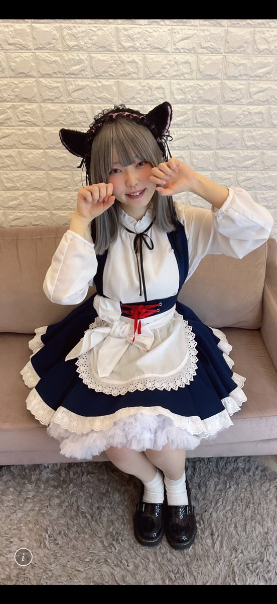 みけねこカフェ川越 #新にゃんこ紹介 今日からお給仕開始です