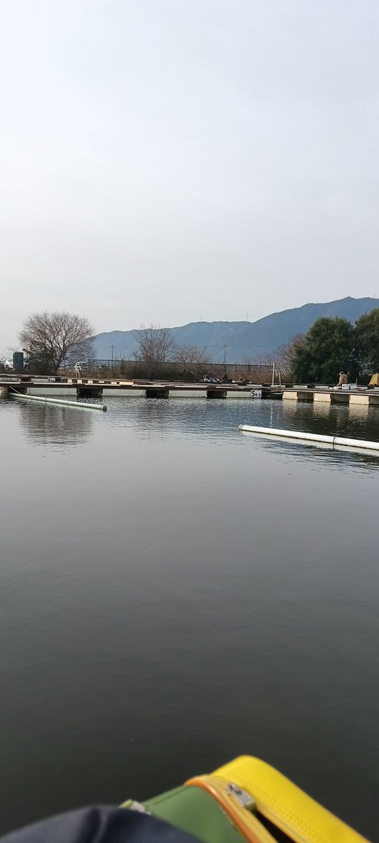 kohoku58's tweet photo. 今日の朝日池☁
朝イチ冷え込み少なめ
Mセット　10尺
今日はすぐに馴染んでくれましたがアタリ無し☁
感嘆ドデ♥ミンの液が分離☠️してたのでヘラさんがお気に召さないかも🔥🔥バラケのエサ調整が難しい日でした🎣🎣 https://t.co/sNXDzARr0g