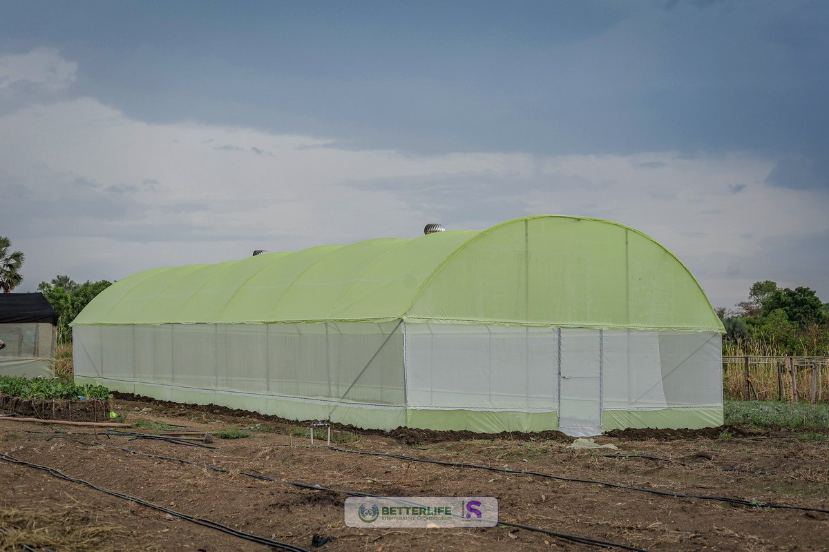 BetterLife International Organization tweet media