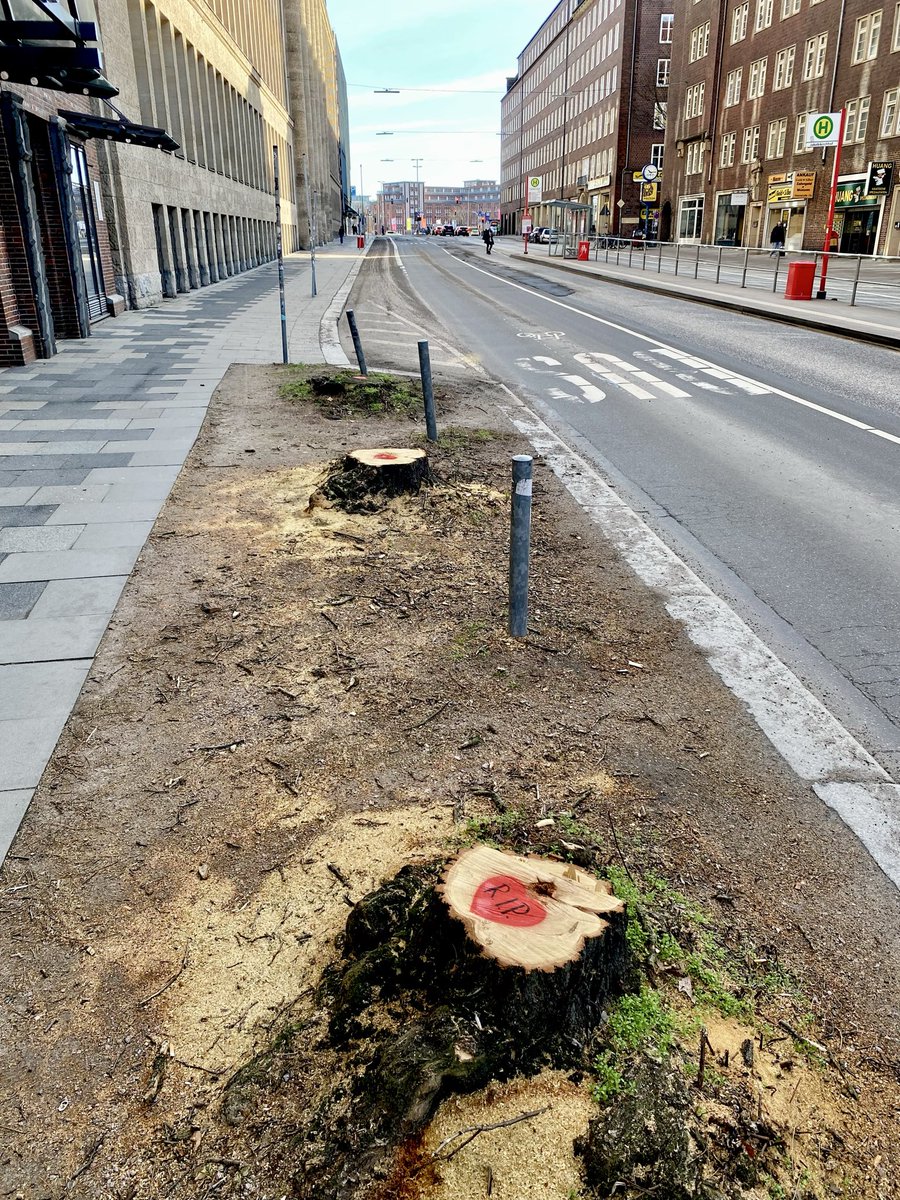 Radweg Hindernis(se) tweet media
