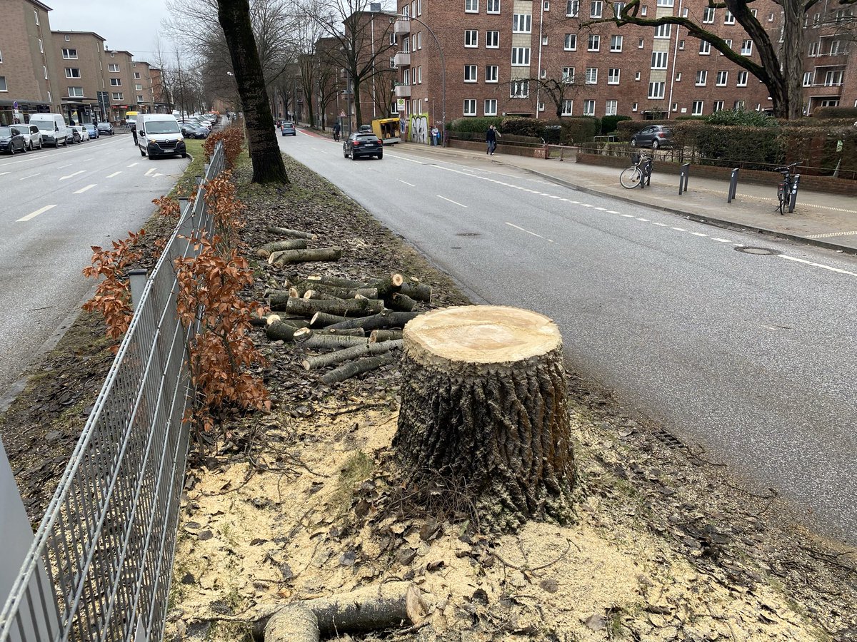 Radweg Hindernis(se) tweet media