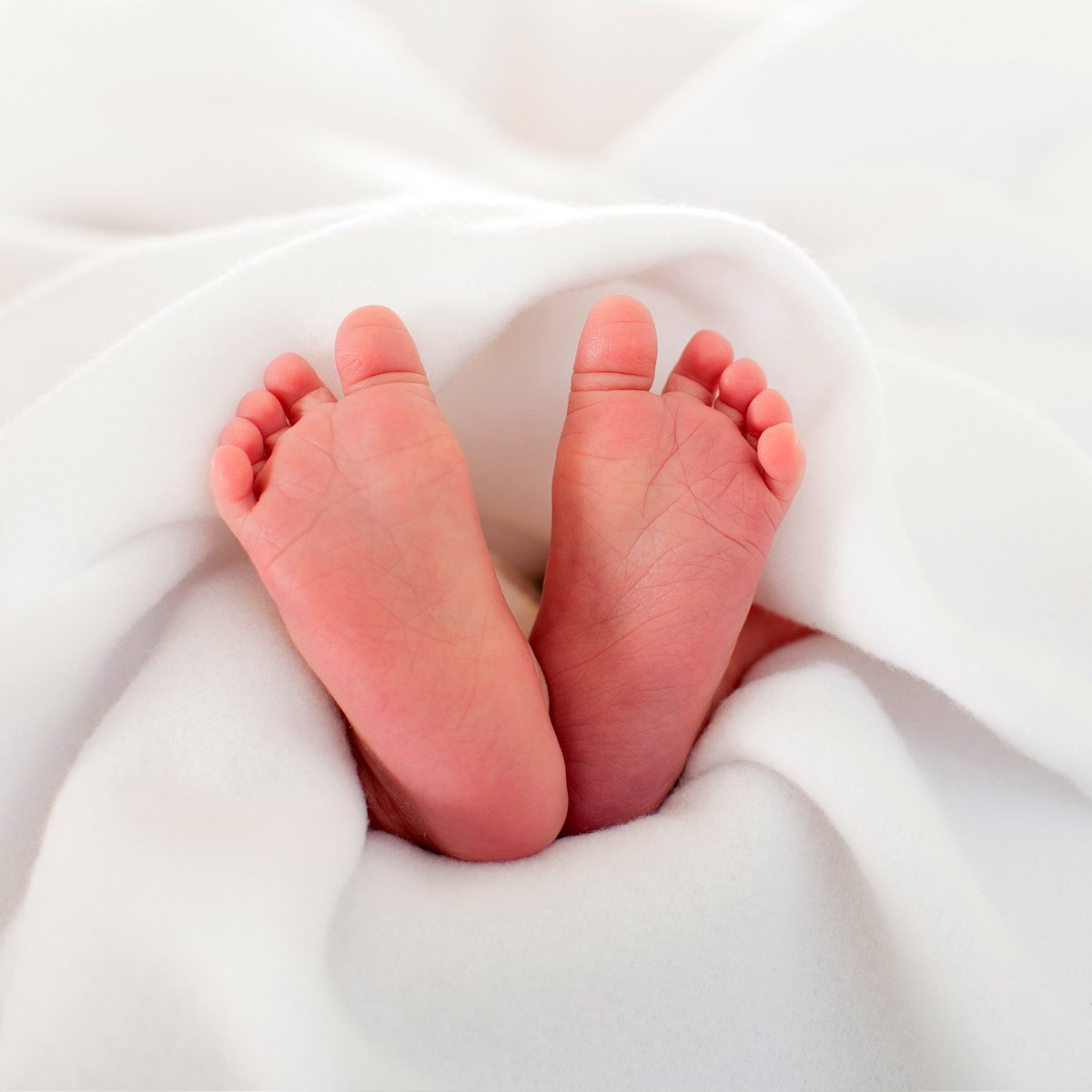 Life Institute tweet media