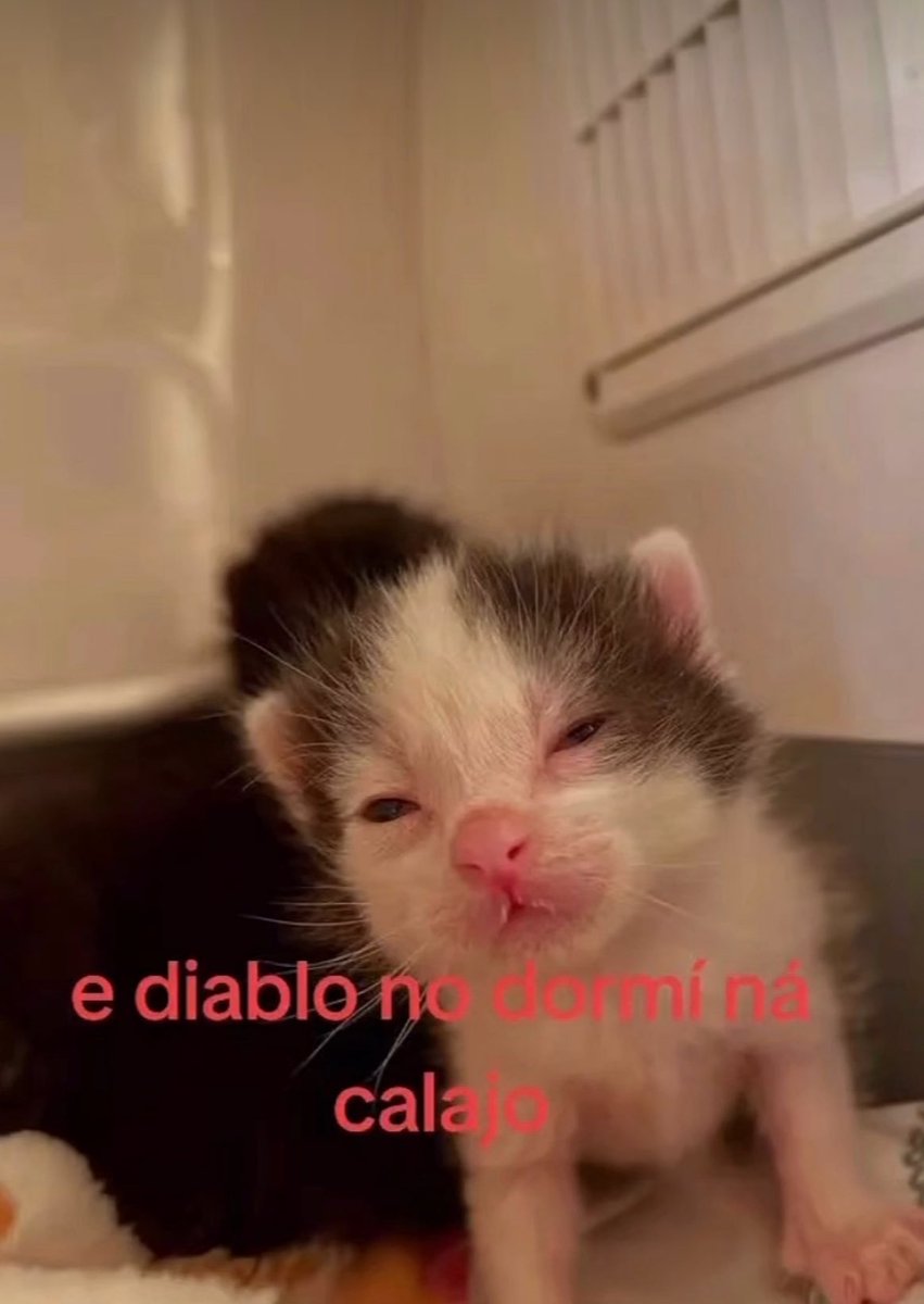 piña sin pizza (@skereunpesado) on Twitter photo 