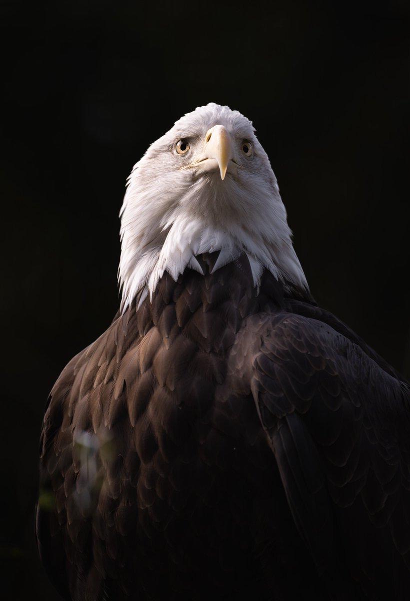 むぎ (@mugimugi_z) / Posts / X