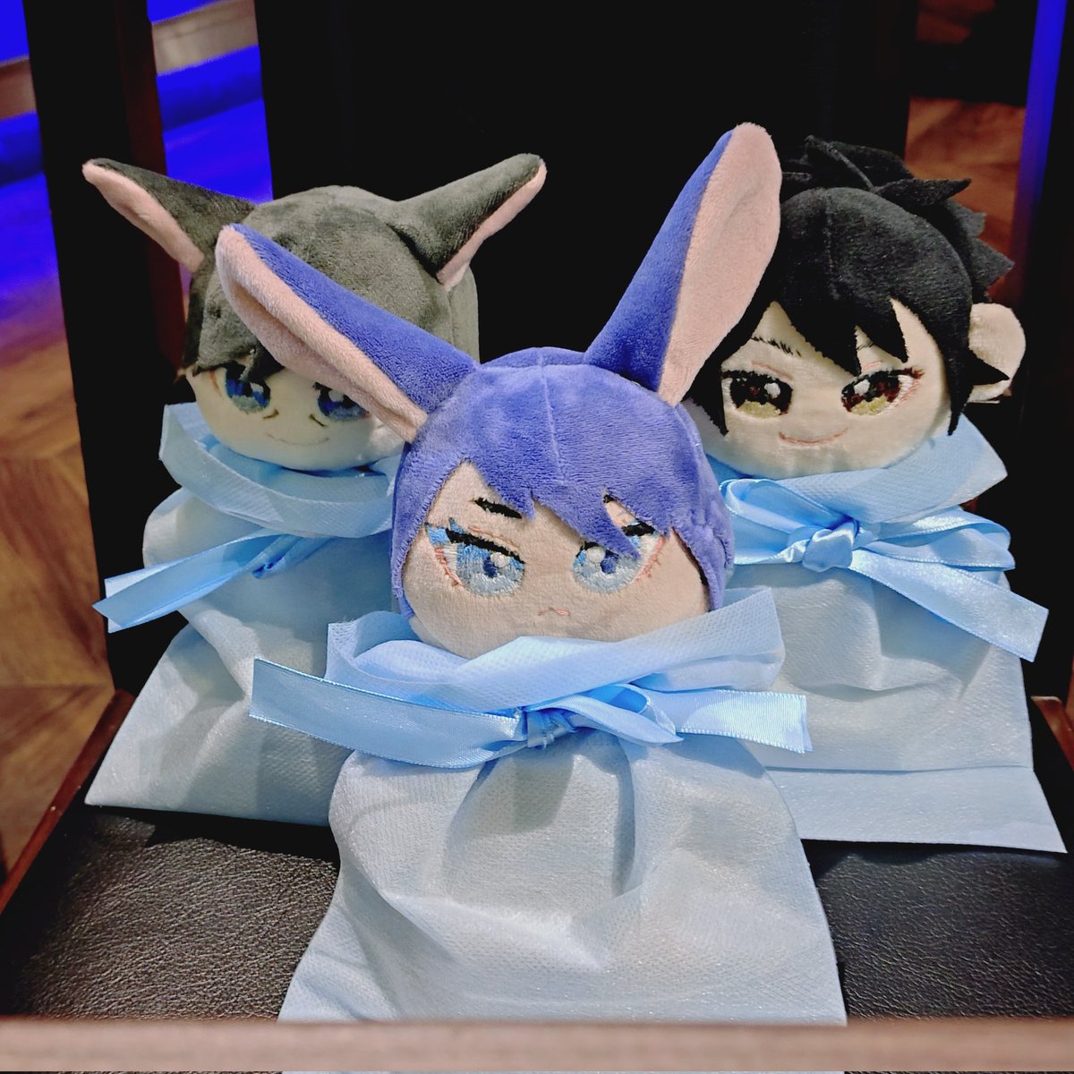 tokkin_dokkin's tweet photo. スマホ直ったので見て！！！頂いた小さき命！！！見て！！！！！綿のけ〜に触れられる日が来ようとは😭 https://t.co/1xoJBbVMM1