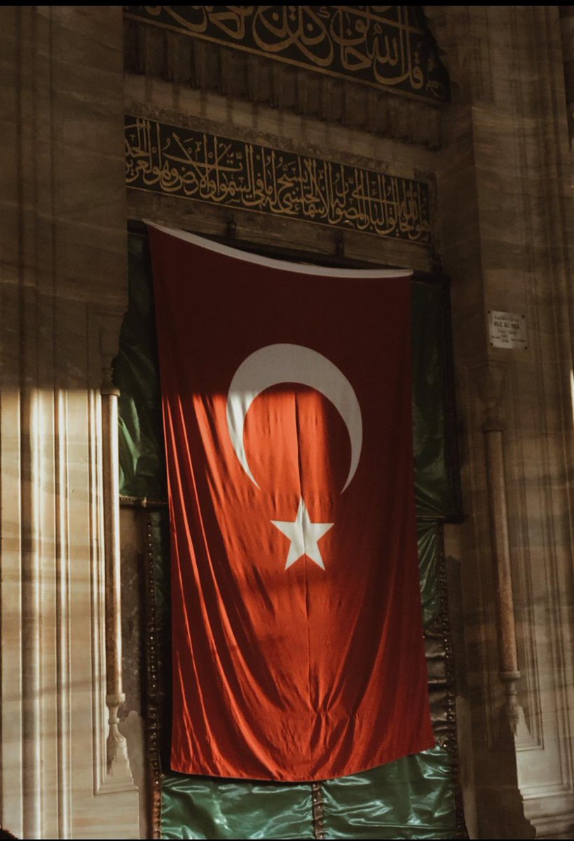 εℓι̇ғ tweet media