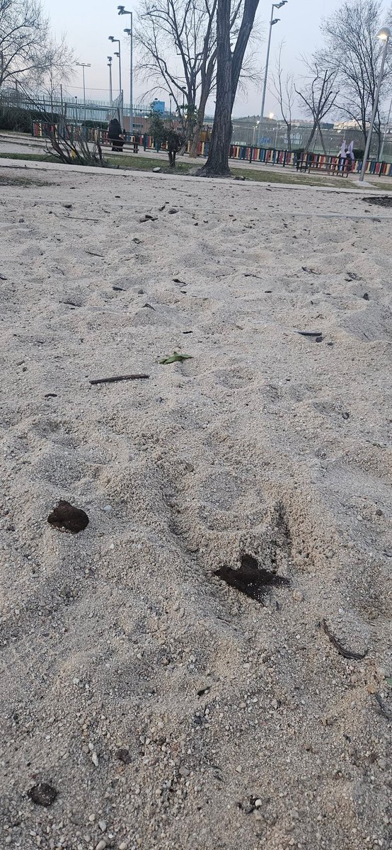 Nieves ❆ Huecas tweet media