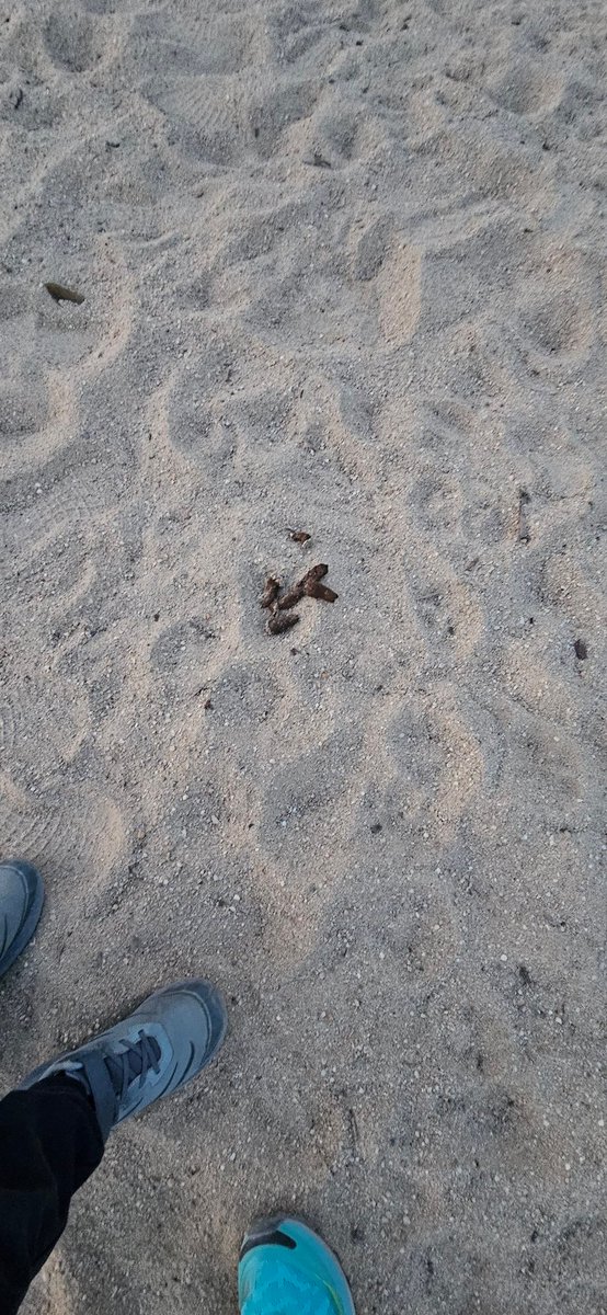 Nieves ❆ Huecas tweet media