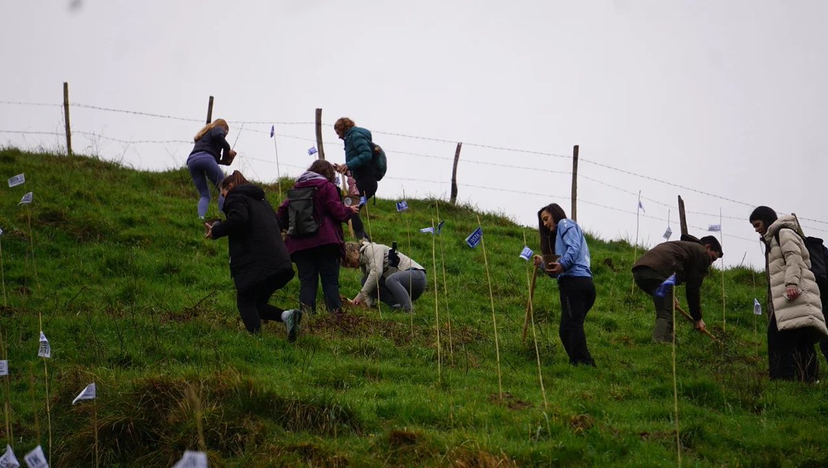 𝗗𝗲𝘀𝗶𝗼𝗲𝗻 𝗕𝗮𝘀𝗼𝗮 – 𝗕𝗼𝘀𝗾𝘂𝗲 𝗱𝗲 𝗹𝗼𝘀 𝗗𝗲𝘀𝗲𝗼𝘀
220 personas plantamos un roble en Aia en el acto organizado por <a href="/BasotikFund/">Basotik Fundazioa</a>, junto a <a href="/RealSociedad/">Real Sociedad Fútbol</a> y <a href="/GipuzkoaLanda/">Gipuzkoa - Gure Lurra</a> 
Cada roble plantado representa un deseo y un compromiso con las próximas generaciones.