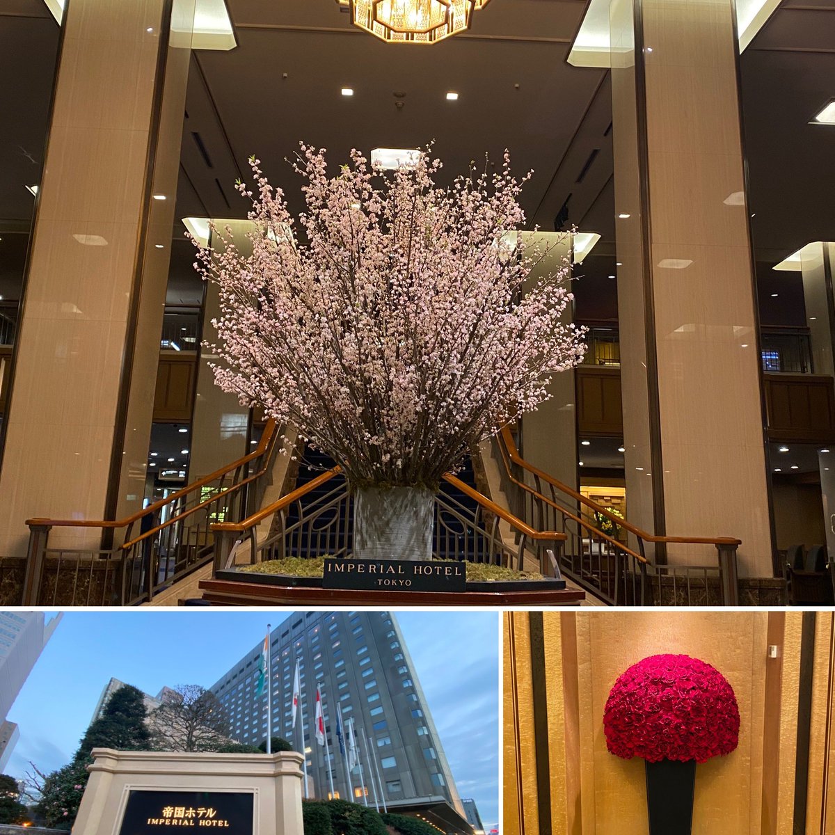 fyodadayo's tweet photo. 3月ですね🌸受験生の皆さんは1年間、お疲れ様でした。結果は様々だと思うけど、是非未来に後悔のない選択をして下さい‼️

昨日は母の誕生日祝い🎂として家族で帝国ホテルのビュッフェに行ってきました！日本で最初にバイキングという食のスタイルを生んだ発祥の店😋すぐ出来る親孝行は出来るうちに👍✨ https://t.co/4fM1XC5cDp