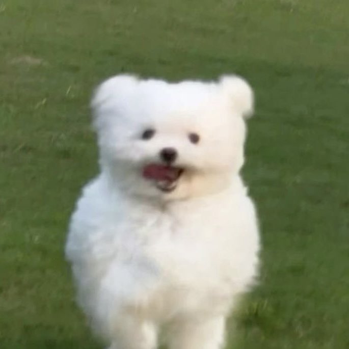 솔직히너무사랑스러워서살짝눈물고임