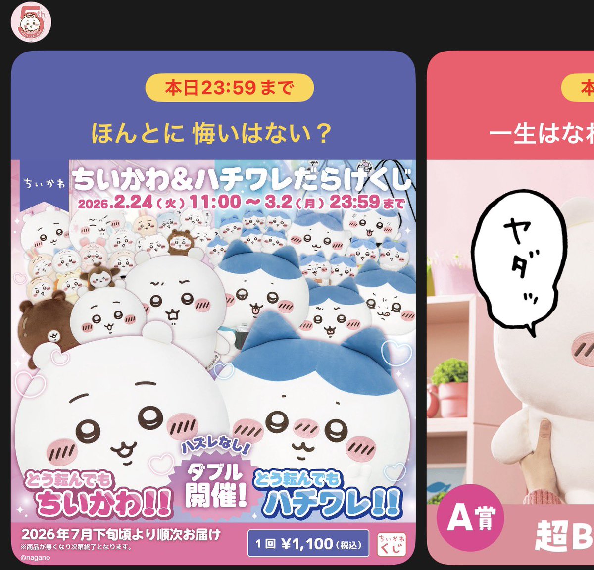 135匹のたぬきだもん。 (@tanukidamon135) / Posts / X