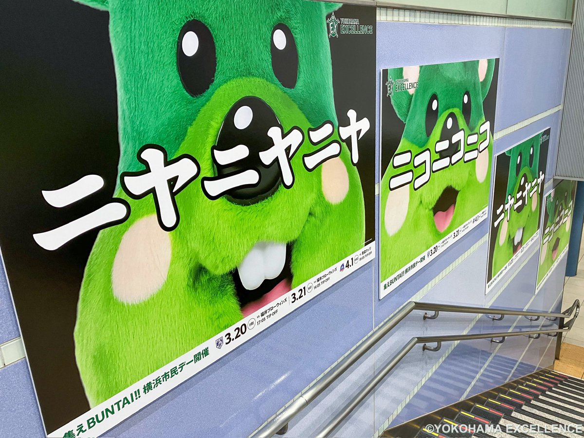 Pick&Roll【横浜エクセレンス】 tweet media