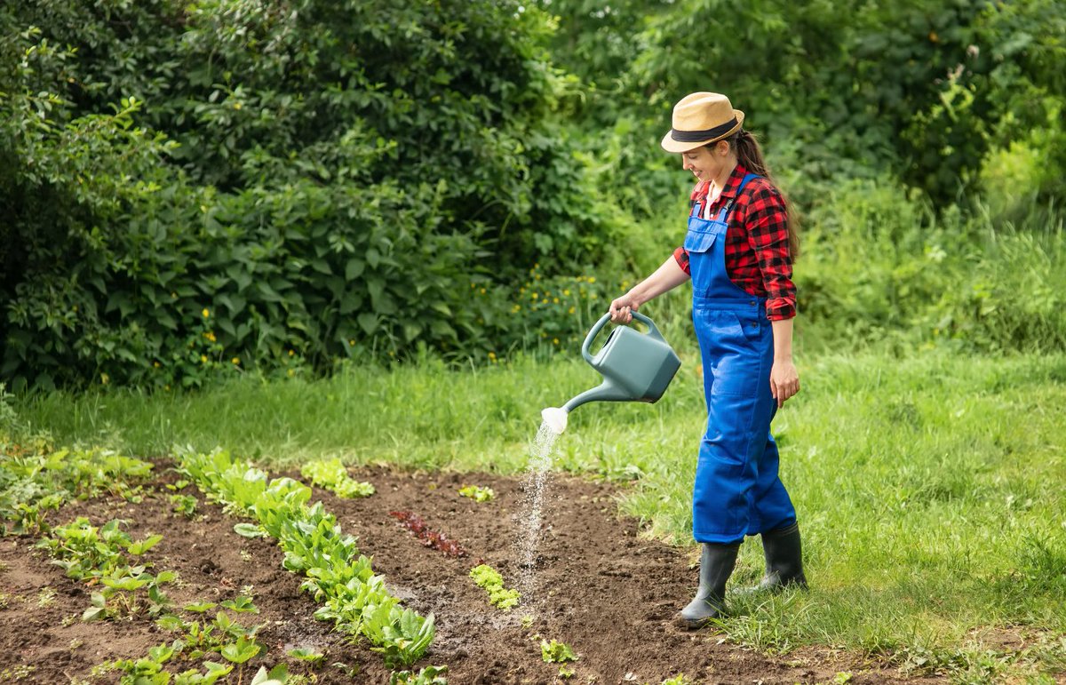 Safe Soil UK tweet media