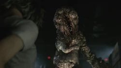 Code ᥅ꫀꪑ tweet media