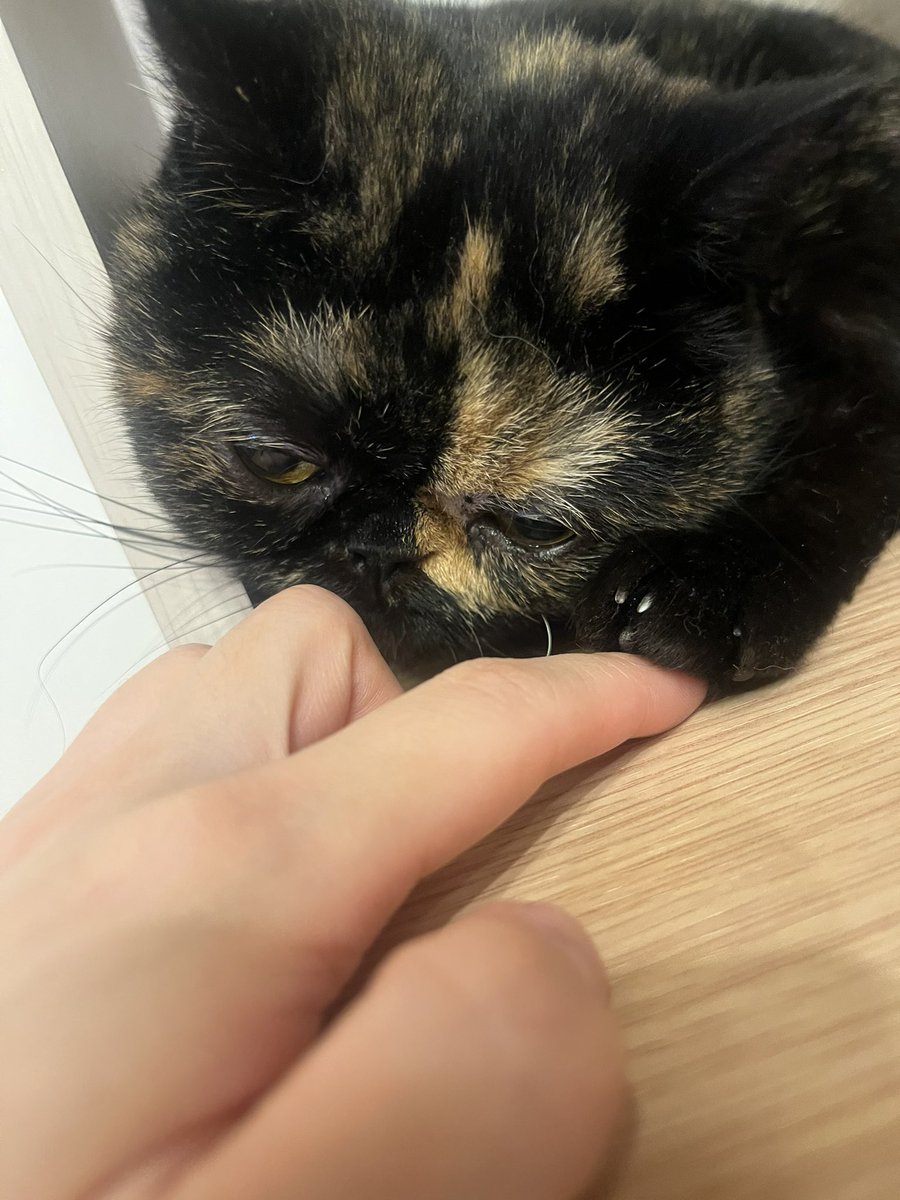 ファンサがえぐい握手会行ってきた