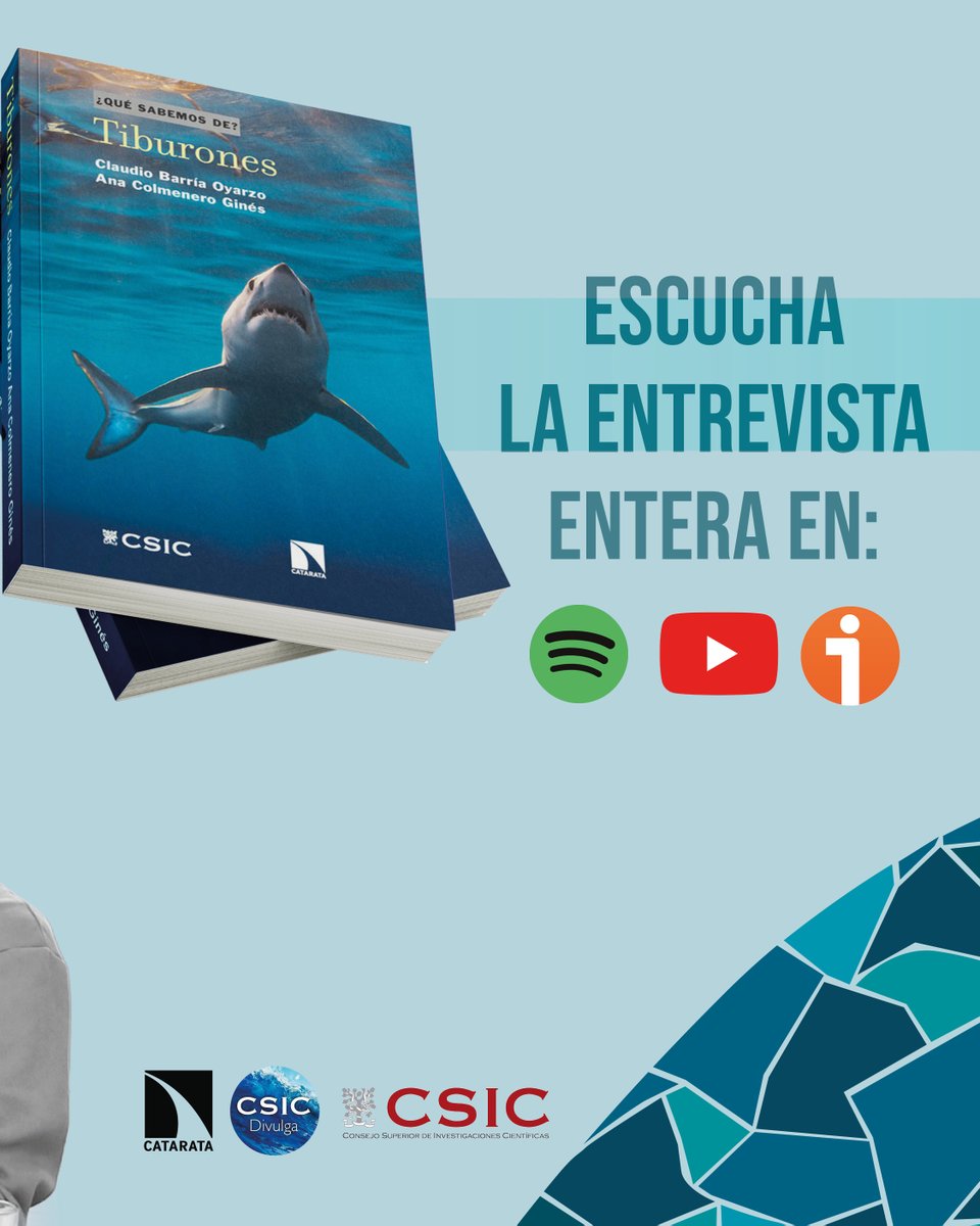 Catsharks tweet media